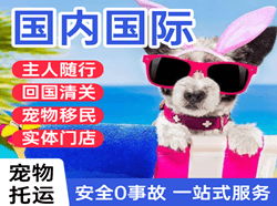 高崎航空货运国际宠物托运 【国